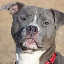 Thumbnail photo of Hadley Grace #4