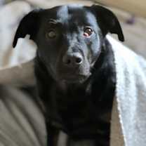 Thumbnail photo of Duddy B #2