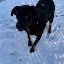 Thumbnail photo of Duddy B #4