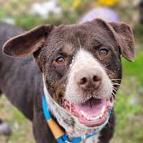 Thumbnail photo of Lucille #1