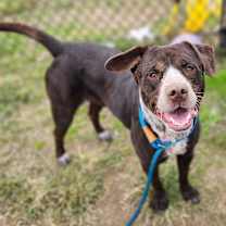 Thumbnail photo of Lucille #3