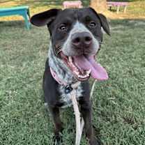 Thumbnail photo of Lucille #4