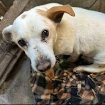 Thumbnail photo of Hammy #3