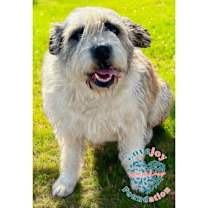 Thumbnail photo of Winter COH #1