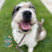 Thumbnail photo of Winter COH #2