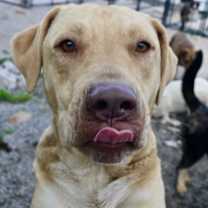 Thumbnail photo of Cade #4