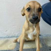 Thumbnail photo of Franny #2