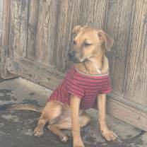 Thumbnail photo of Flower #3