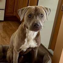 Thumbnail photo of Handpie #4