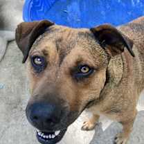 Thumbnail photo of Truly #2