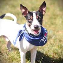 Thumbnail photo of Bam Bam #1