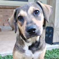 Thumbnail photo of Serena #1