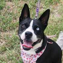 Thumbnail photo of Delia JuM #1