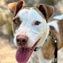 Thumbnail photo of Miya #1