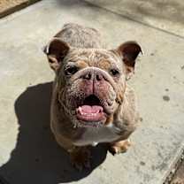 Thumbnail photo of Mildred #3