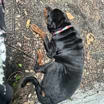 Thumbnail photo of Ronnie #2