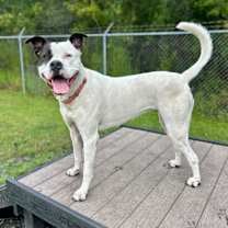 Thumbnail photo of Olivia #1