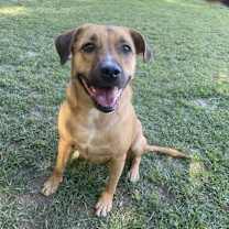 Thumbnail photo of Maggie (TIANA) #1