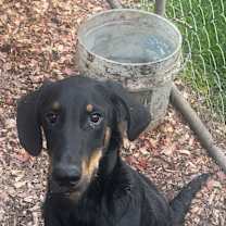 Thumbnail photo of Tank #2