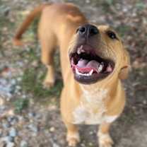 Thumbnail photo of Bubba  #4