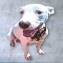 Thumbnail photo of Francine #2