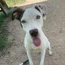 Thumbnail photo of Dolly #2