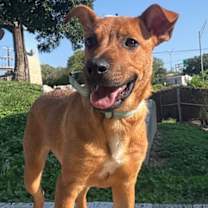 Thumbnail photo of Adele #1