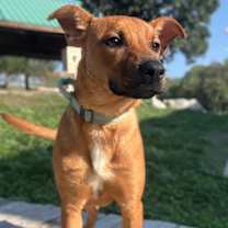 Thumbnail photo of Adele #2