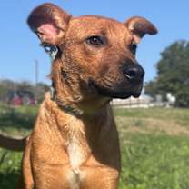 Thumbnail photo of Adele #3