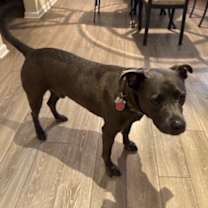 Thumbnail photo of Jake #1