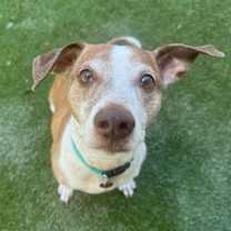 Thumbnail photo of Arc #4