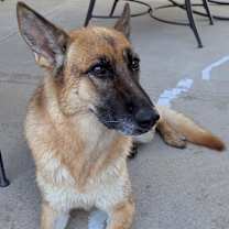 Thumbnail photo of Nova #2