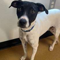 Thumbnail photo of Marilyn #1