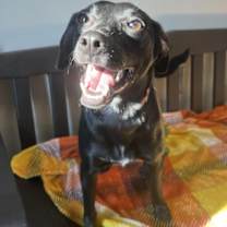 Thumbnail photo of Phyliss #1