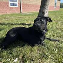 Thumbnail photo of Phyliss #2