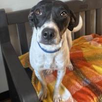 Thumbnail photo of Marilyn #2