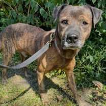 Thumbnail photo of Eddie Spaghetti #4