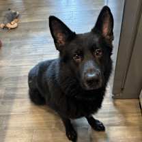 Thumbnail photo of Varian #2