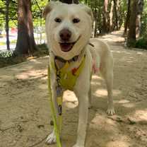 Thumbnail photo of Nacho #1