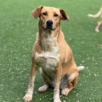 Thumbnail photo of Isabella 9795 #1