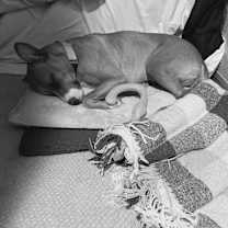 Thumbnail photo of Mia #4