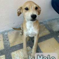 Thumbnail photo of Stewart #1