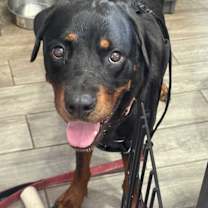 Thumbnail photo of Hope #1