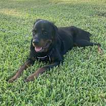 Thumbnail photo of Hope #2