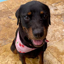 Thumbnail photo of Hope #3