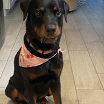 Thumbnail photo of Hope #4