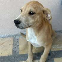 Thumbnail photo of Stewart #2