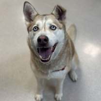 Thumbnail photo of Oso #2