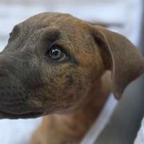 Thumbnail photo of Wally #2