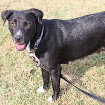 Thumbnail photo of Astrid #1